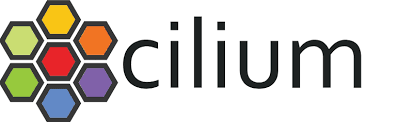 Migration from Calico CNI to Cilium CNI in BareMetal Kubernetes Cluster and Monitoring traffic using Hubble UI