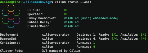 Cilium BGP Lab, locally!