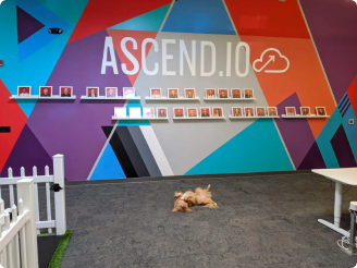 ascend office interior